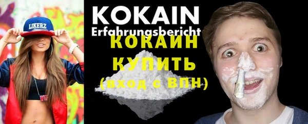 стаф Абинск
