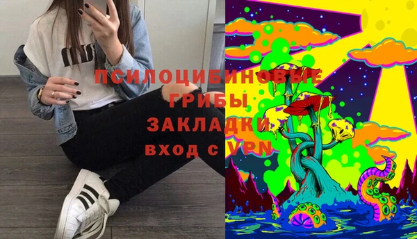 кокс Осинники