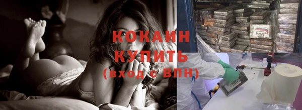 дмт Осташков