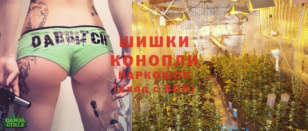 дмт Осташков
