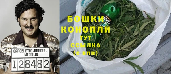 дмт Осташков