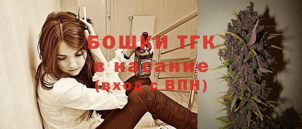 дмт Осташков